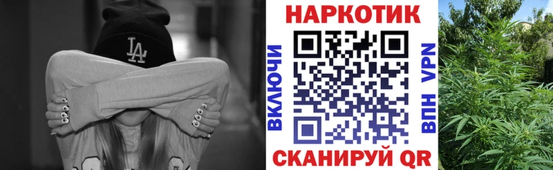 МЕФ Санкт-Петербург