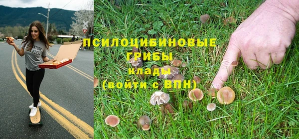 метадон Алексеевка