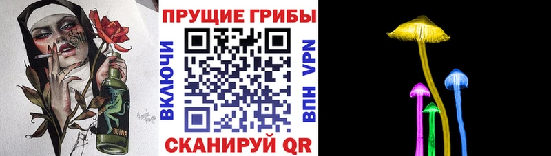 Псилоцибиновые грибы MAGIC MUSHROOMS  darknet телеграм  Санкт-Петербург 