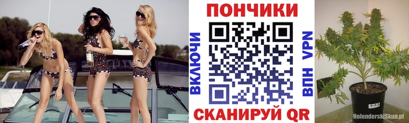 Шишки марихуана White Widow  Санкт-Петербург 